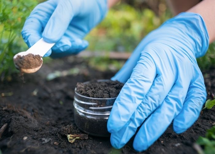  What can I do with a soil science degree