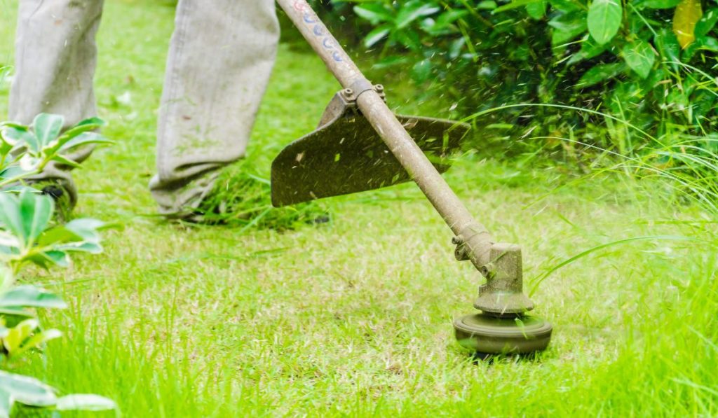 Best Lawn Mower Blades For Sandy Soil - A Guide To Hassle-Free Grass ...