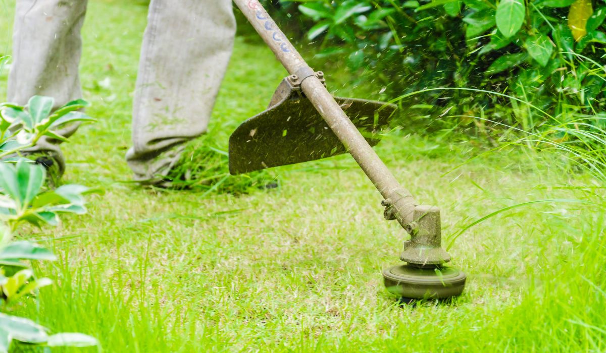 Best Lawn Mower Blades For Sandy Soil - A Guide To Hassle-Free Grass Cutting