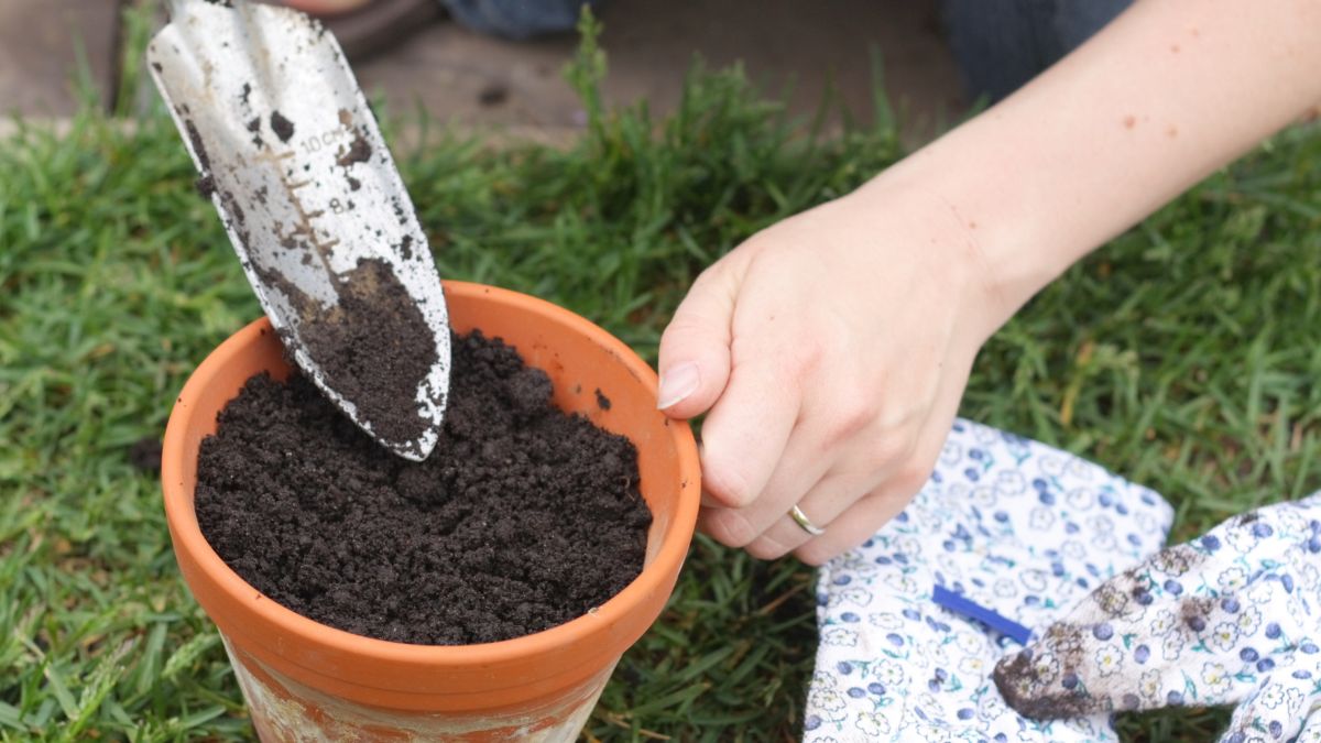 How To Make Potting Soil At Home In India
