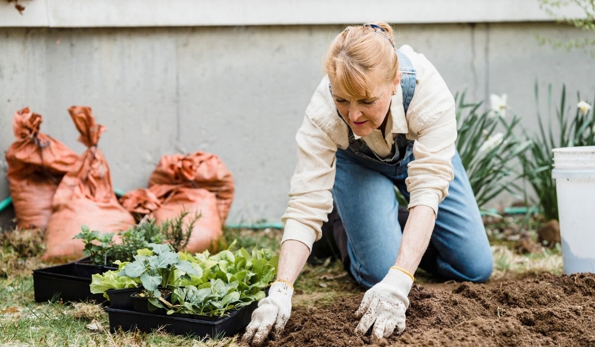 What States Have The Best Soil For Gardening - A Comprehensive Guide Of Soil Types In The US