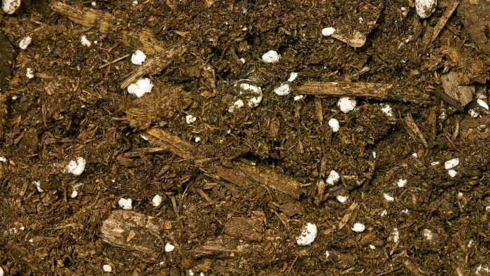  What is the difference between potting soil and potting mix?