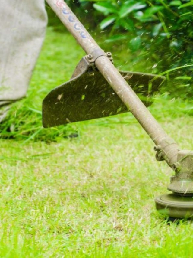Best Lawn Mower Blades For Sandy Soil