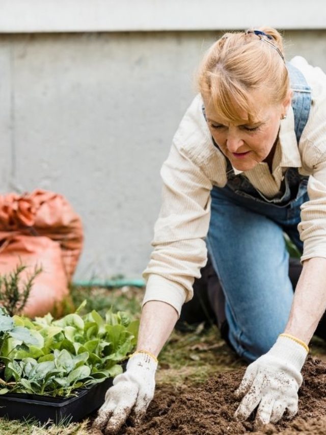 What States Have The Best Soil For Gardening