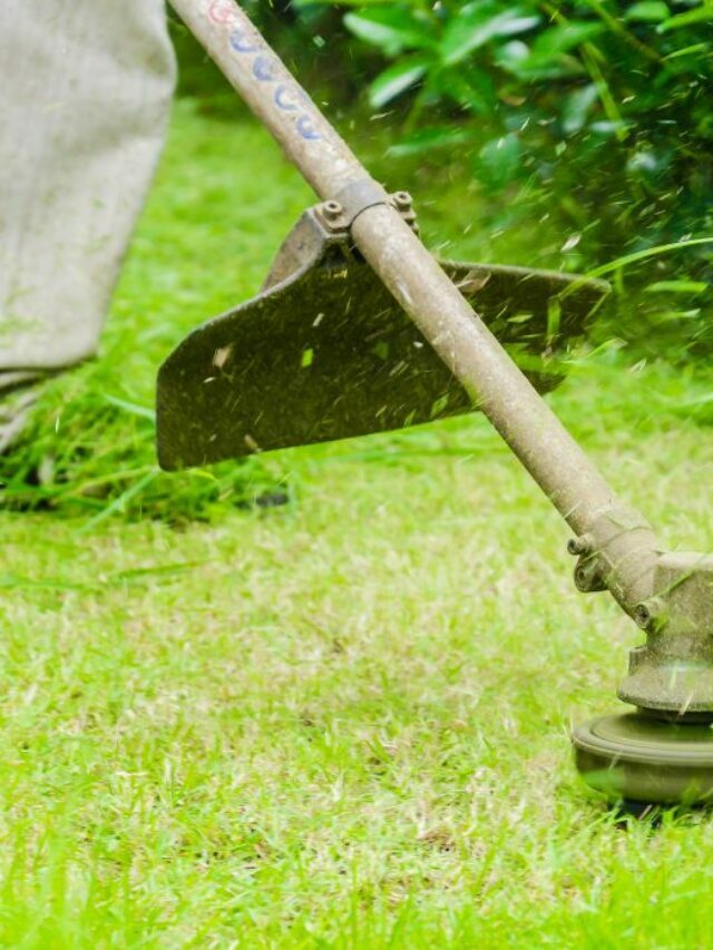 What To Consider When Choosing Lawn Mower Blades For Your Needs?