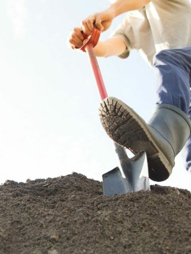 Recommended Digging Tools For Rocky Soil