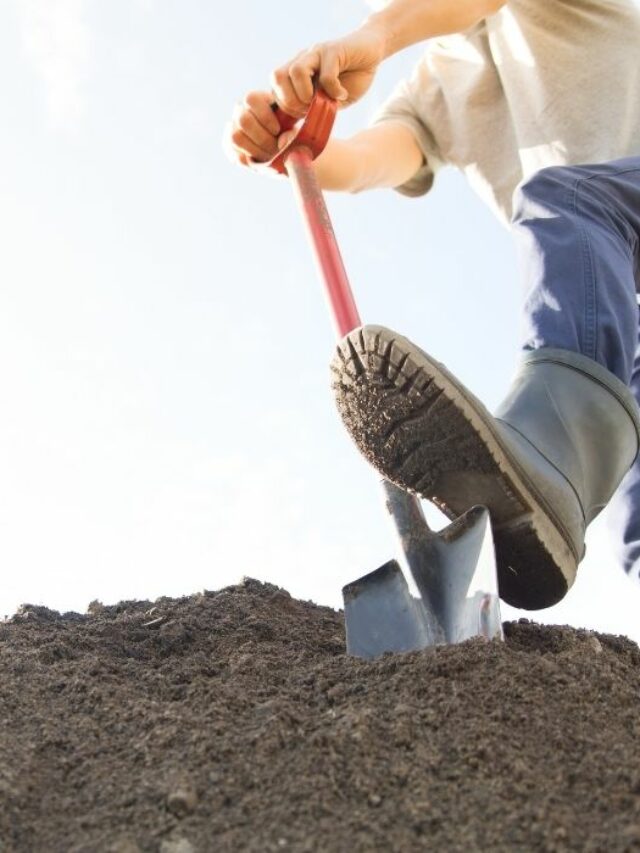 Recommended Digging Tools For Rocky Soil - Days in Garden