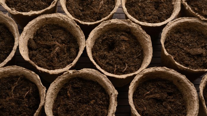  best potting soil for ivy