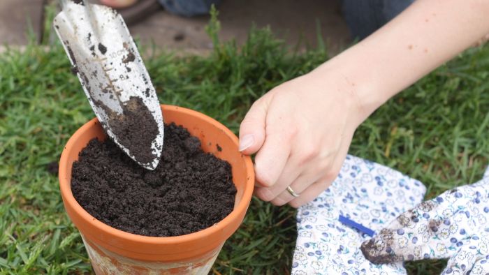  how to make humus soil