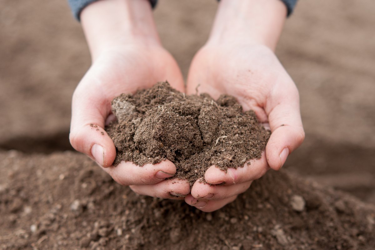 How To Make Your Own Living Soil (2)