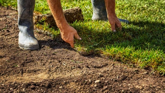   best soil for sod installation