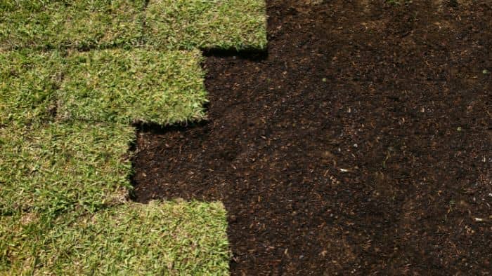  how to prepare the soil for sod